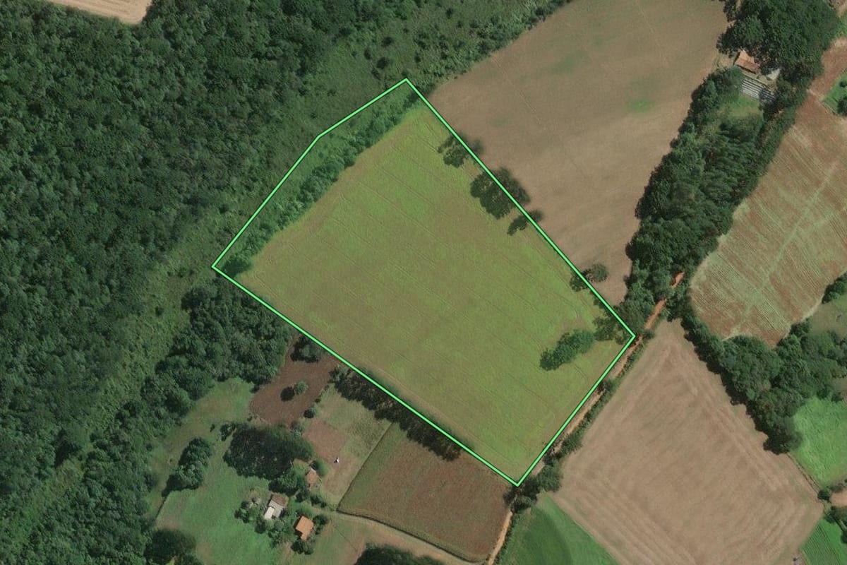 Imagem de satélite do imóvel rural em Mafra (SC), com o contorno declarado no CAR desenhado por cima.