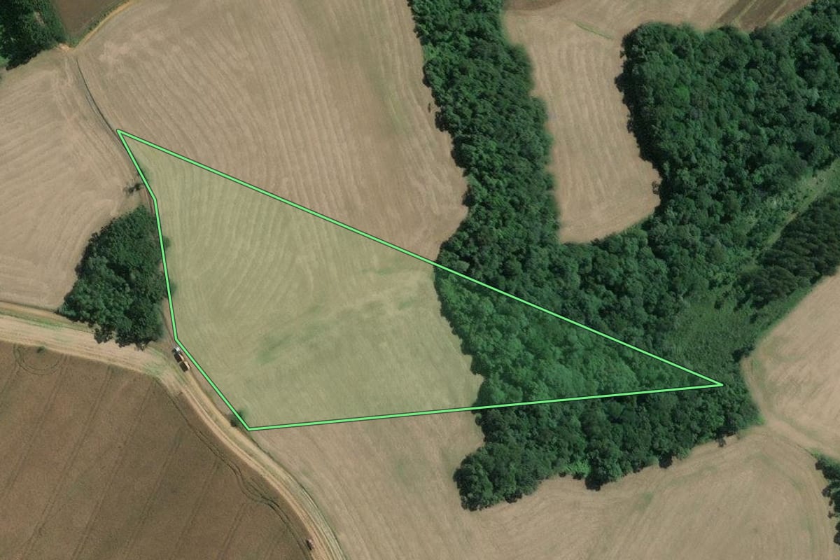 Imagem de satélite do imóvel rural em Mafra (SC), com o contorno declarado no CAR desenhado por cima.