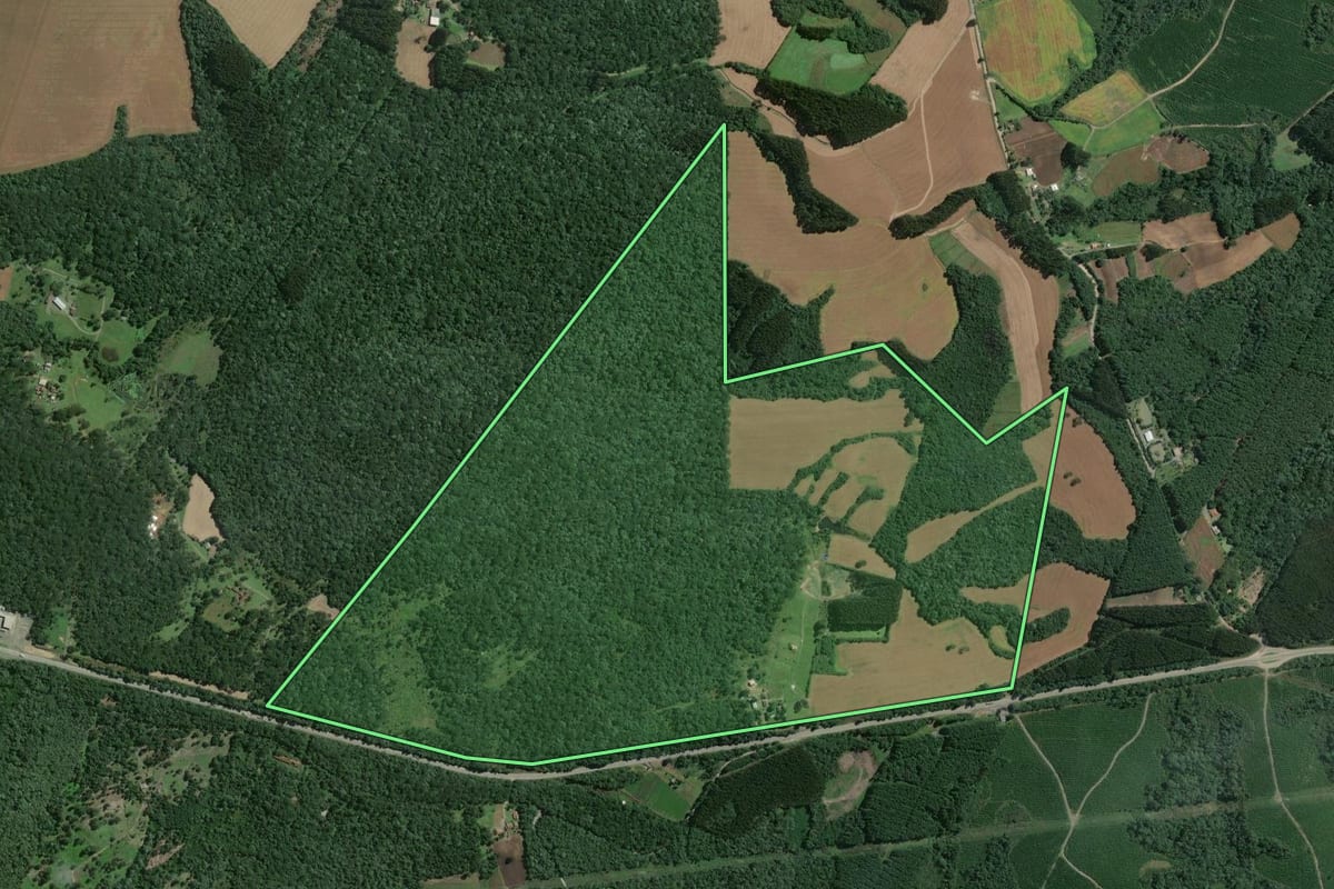 Imagem de satélite do imóvel rural em Mafra (SC), com o contorno declarado no CAR desenhado por cima.
