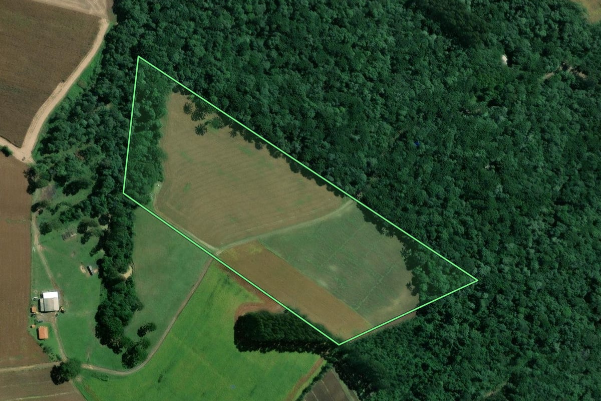 Imagem de satélite do imóvel rural em Mafra (SC), com o contorno declarado no CAR desenhado por cima.