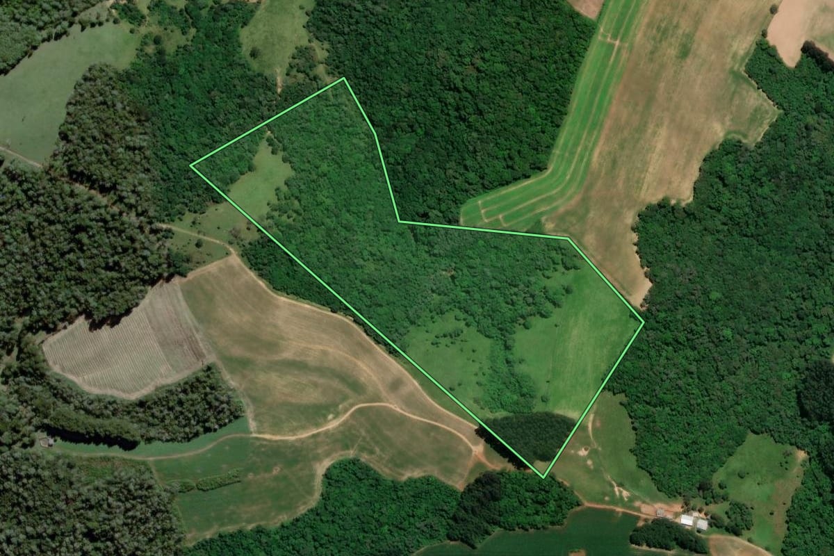 Imagem de satélite do imóvel rural em Mafra (SC), com o contorno declarado no CAR desenhado por cima.