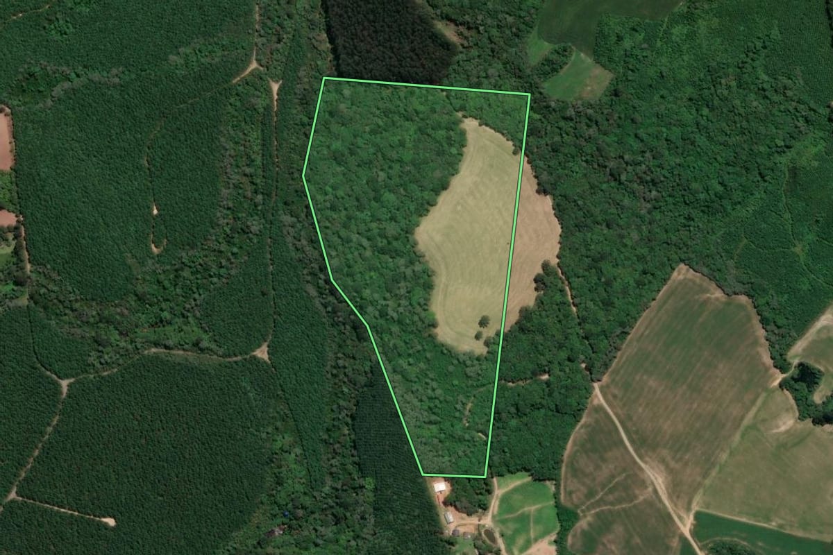 Imagem de satélite do imóvel rural em Mafra (SC), com o contorno declarado no CAR desenhado por cima.