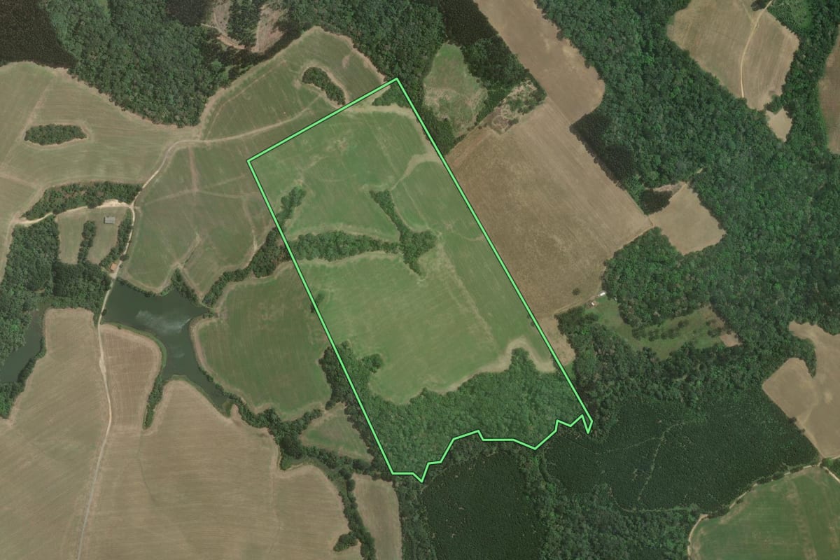 Imagem de satélite do imóvel rural em Mafra (SC), com o contorno declarado no CAR desenhado por cima.