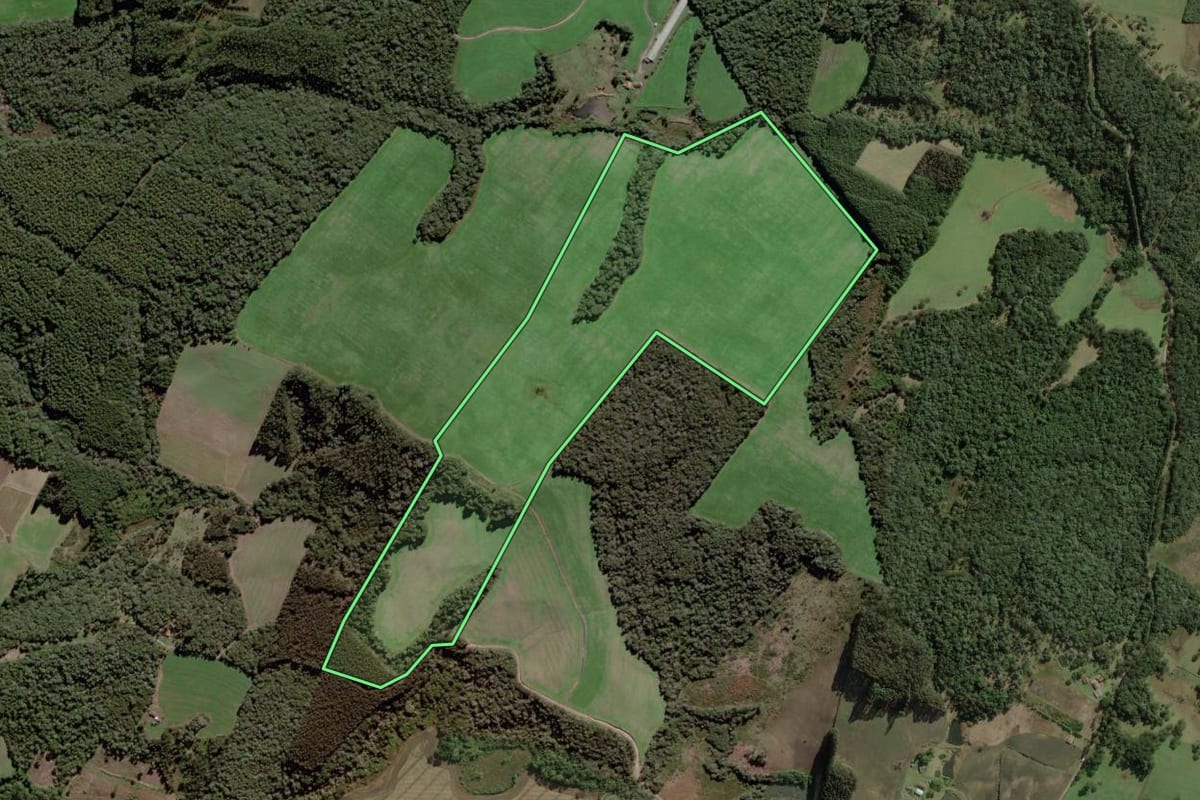 Imagem de satélite do imóvel rural em Mafra (SC), com o contorno declarado no CAR desenhado por cima.