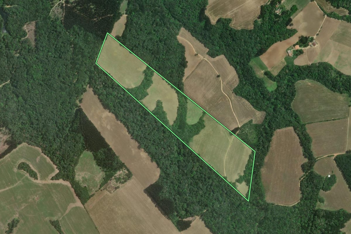 Imagem de satélite do imóvel rural em Mafra (SC), com o contorno declarado no CAR desenhado por cima.