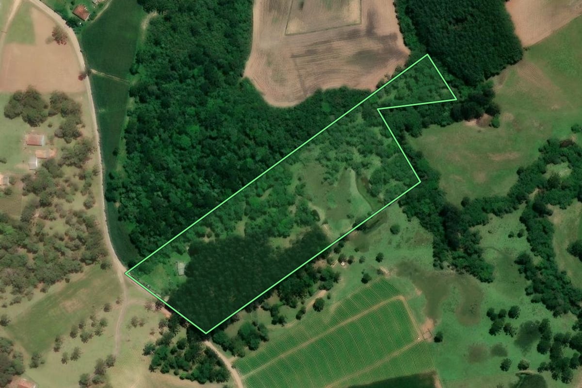 Imagem de satélite do imóvel rural em Mafra (SC), com o contorno declarado no CAR desenhado por cima.