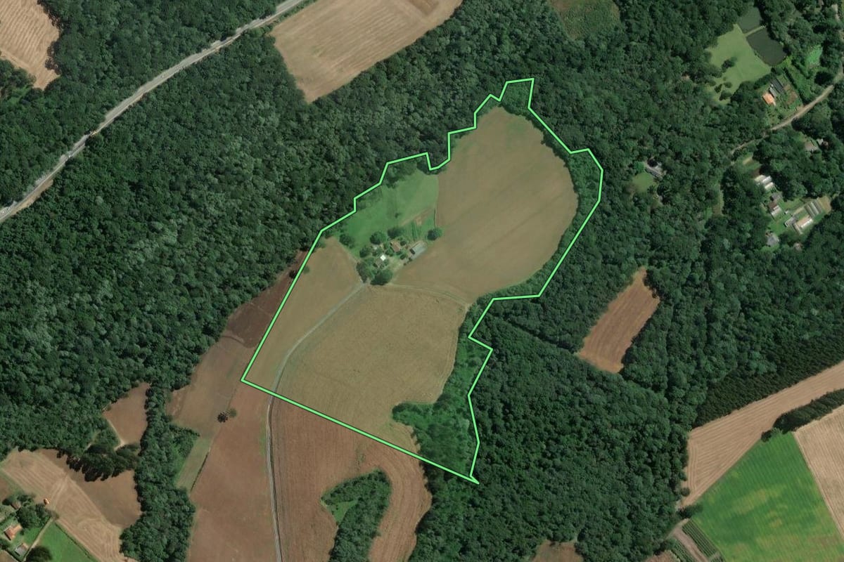 Imagem de satélite do imóvel rural em Mafra (SC), com o contorno declarado no CAR desenhado por cima.