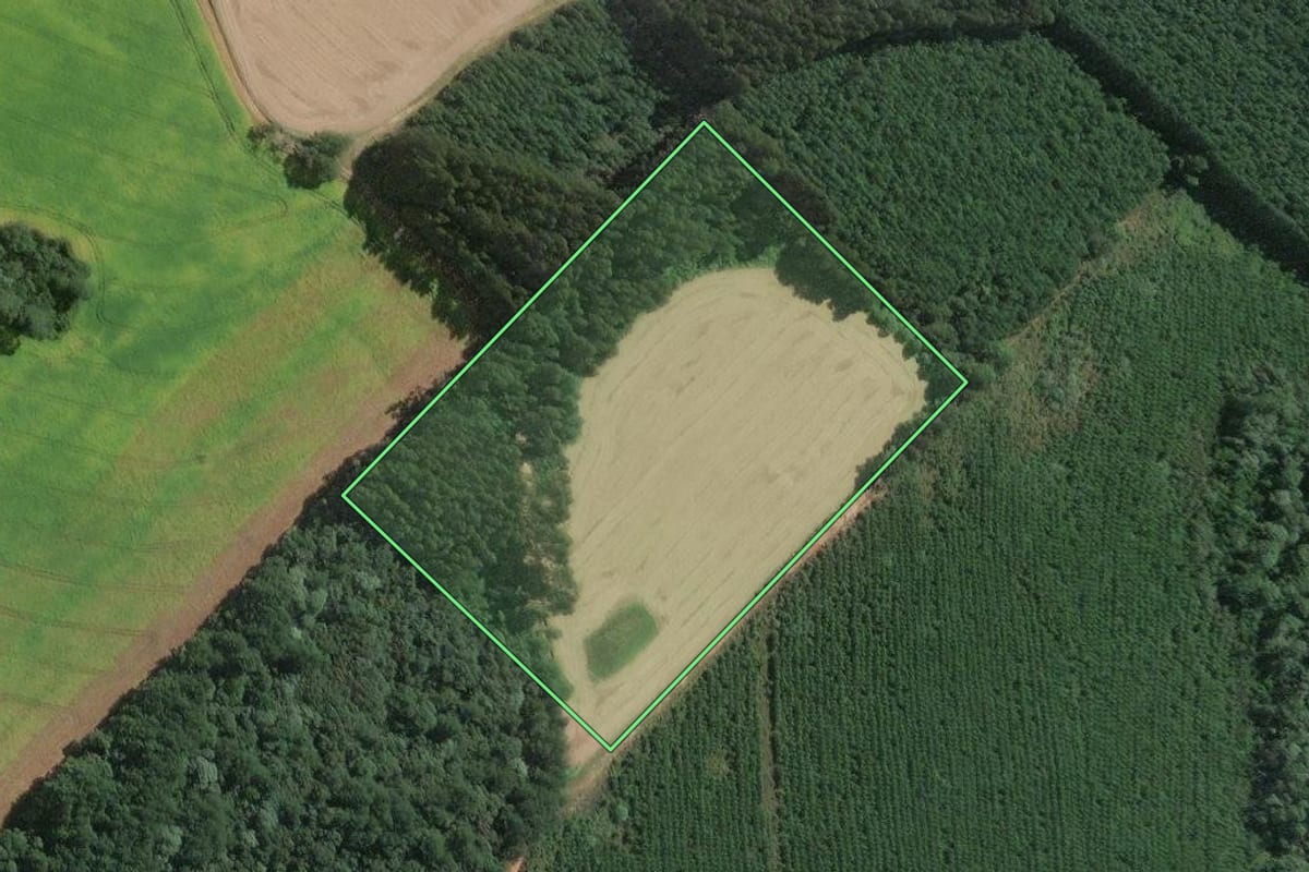 Imagem de satélite do imóvel rural em Mafra (SC), com o contorno declarado no CAR desenhado por cima.