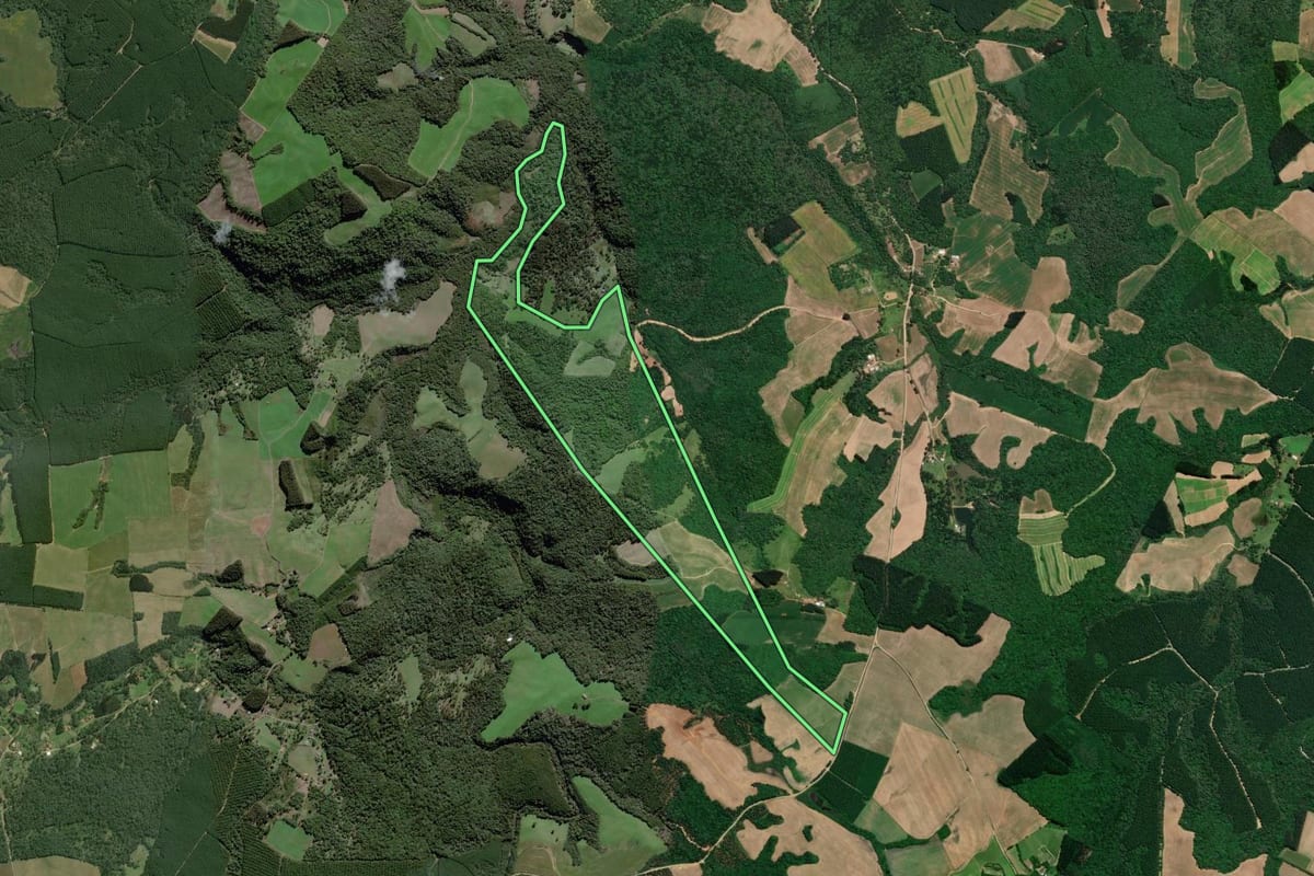 Imagem de satélite do imóvel rural em Mafra (SC), com o contorno declarado no CAR desenhado por cima.