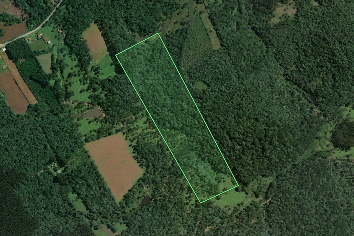 Imagem de satélite do imóvel rural em Mafra (SC), com o contorno declarado no CAR desenhado por cima.