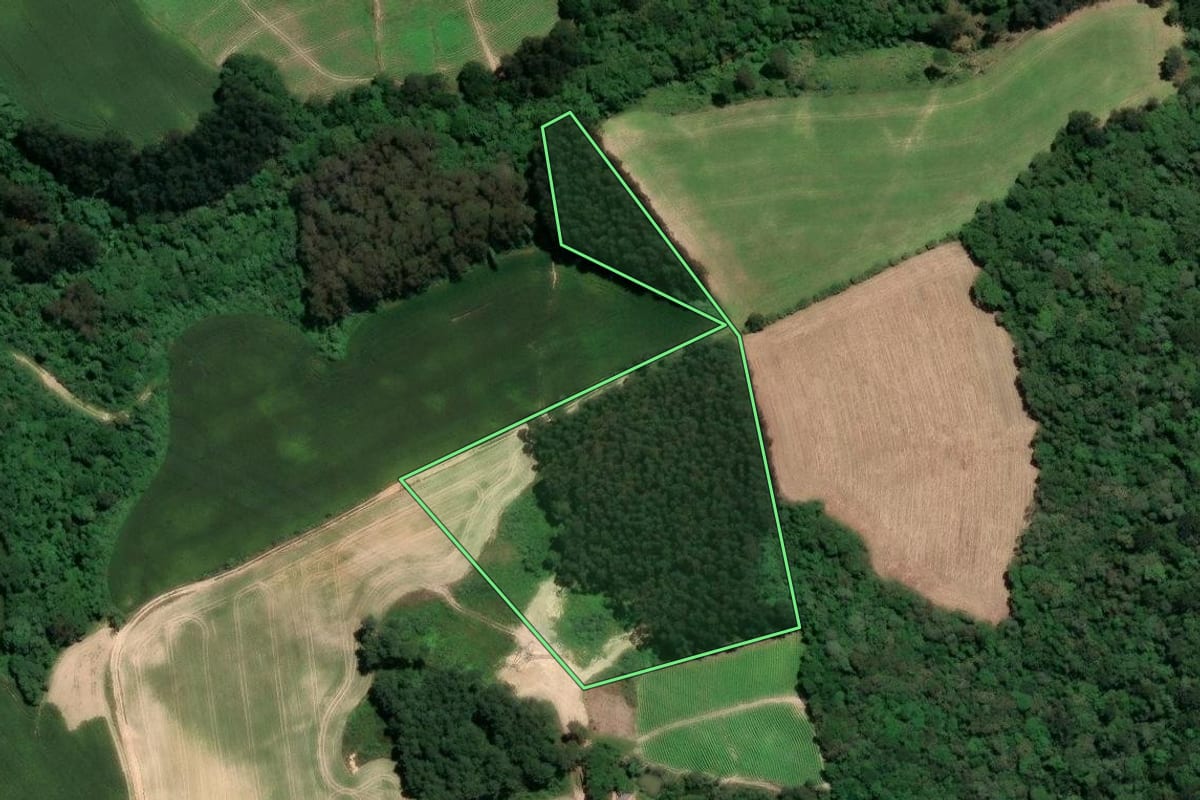 Imagem de satélite do imóvel rural em Mafra (SC), com o contorno declarado no CAR desenhado por cima.