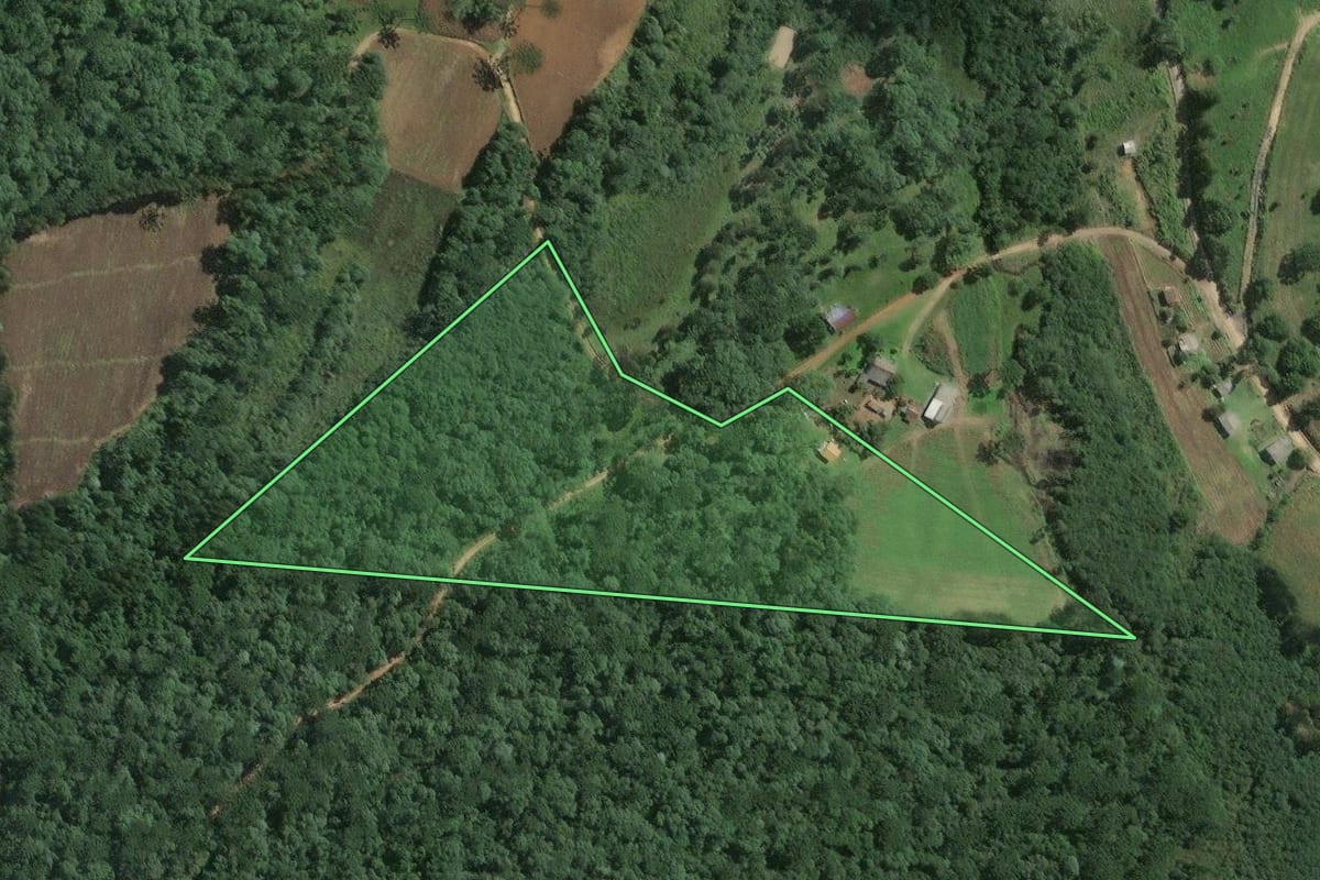 Imagem de satélite do imóvel rural em Mafra (SC), com o contorno declarado no CAR desenhado por cima.