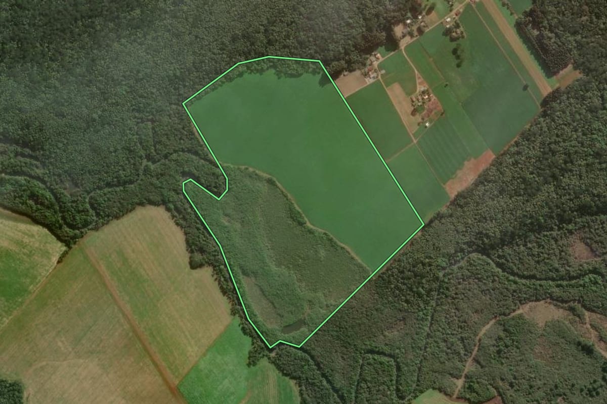 Imagem de satélite do imóvel rural em Mafra (SC), com o contorno declarado no CAR desenhado por cima.