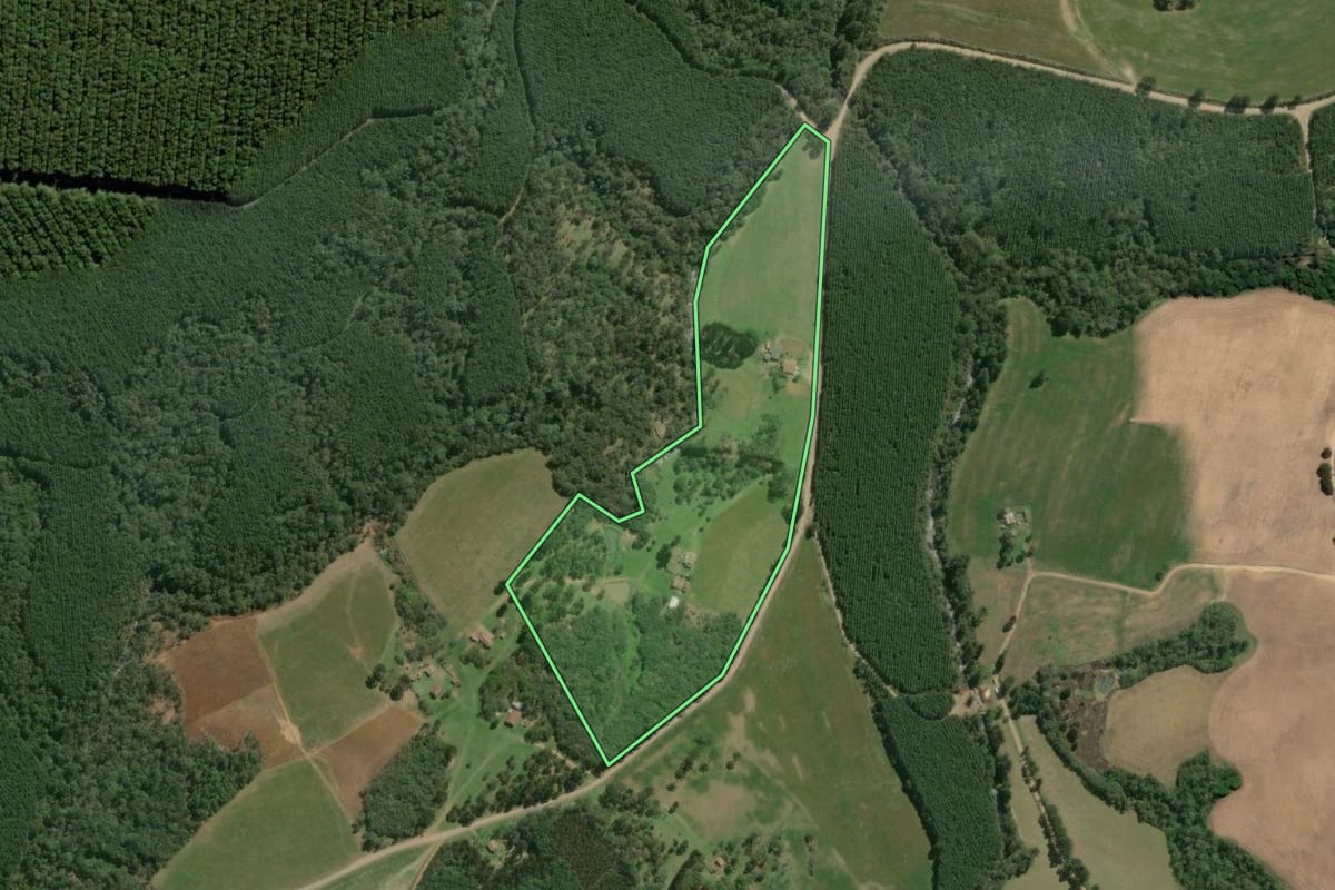 Imagem de satélite do imóvel rural em Mafra (SC), com o contorno declarado no CAR desenhado por cima.