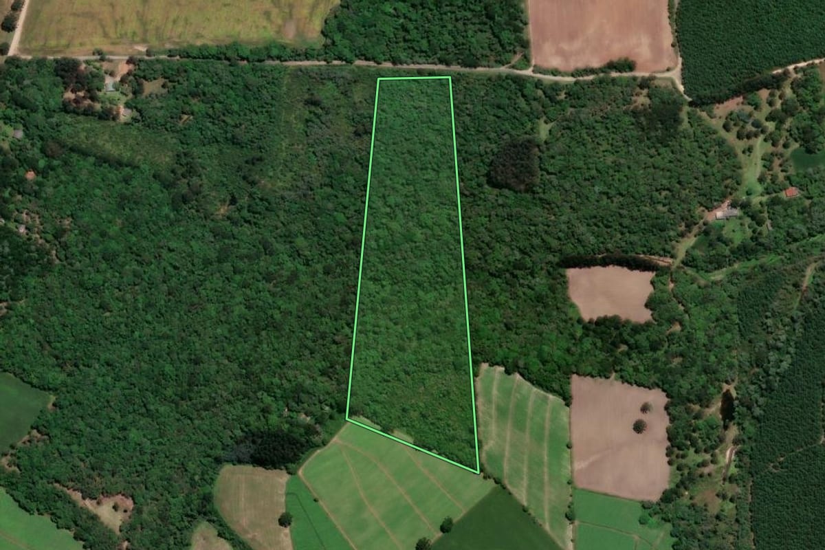 Imagem de satélite do imóvel rural em Mafra (SC), com o contorno declarado no CAR desenhado por cima.