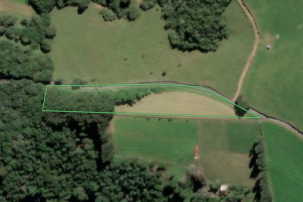 Imagem de satélite do imóvel rural em Mafra (SC), com o contorno declarado no CAR desenhado por cima.
