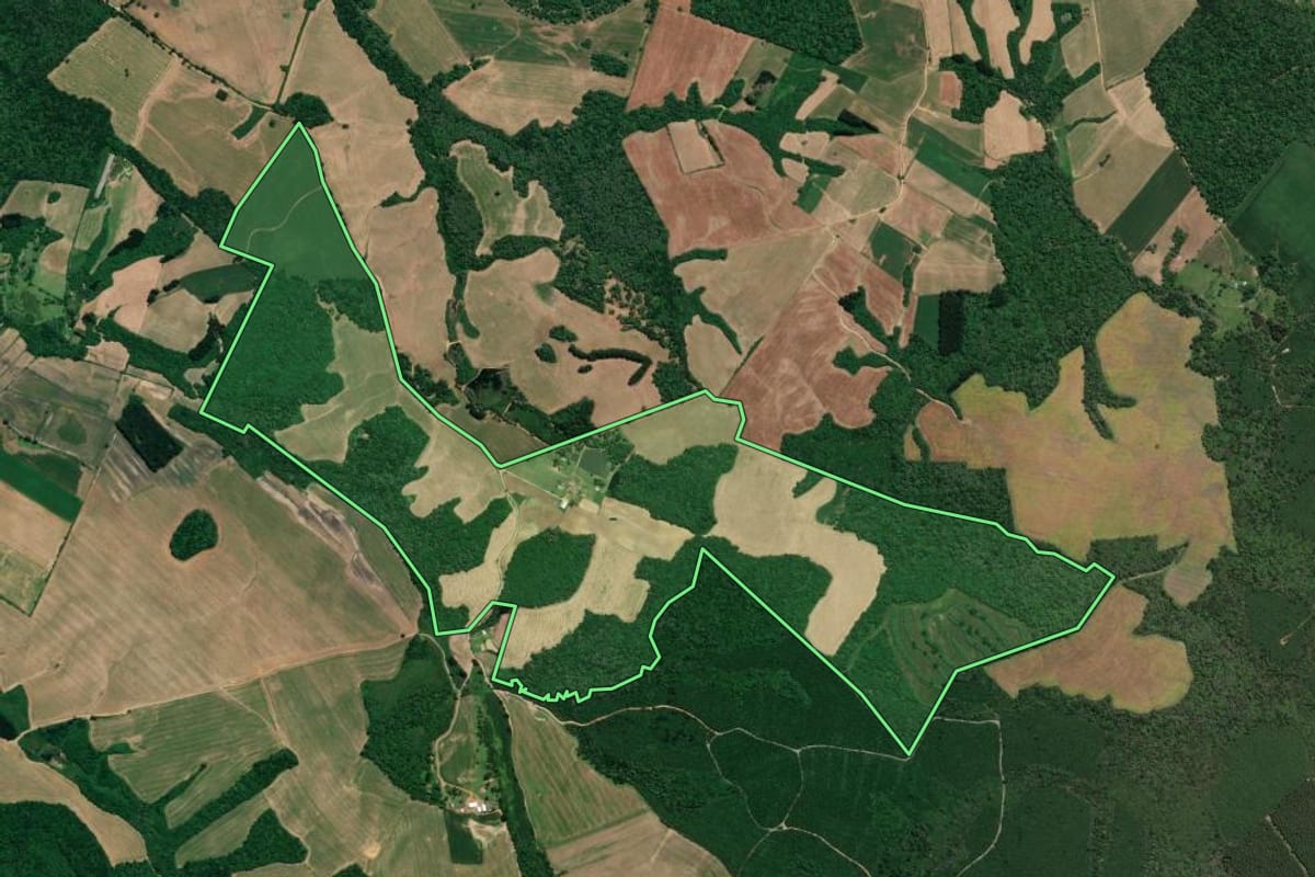 Imagem de satélite do imóvel rural em Mafra (SC), com o contorno declarado no CAR desenhado por cima.
