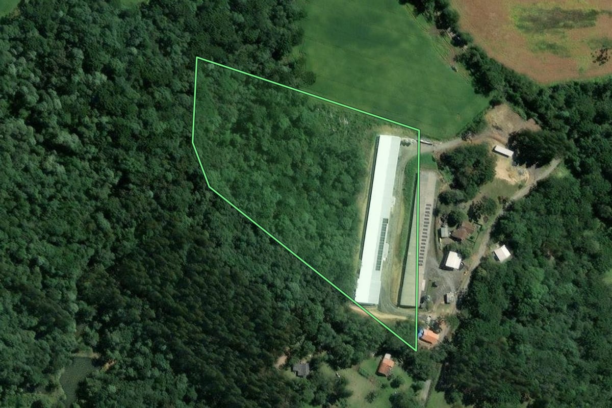 Imagem de satélite do imóvel rural em Mafra (SC), com o contorno declarado no CAR desenhado por cima.