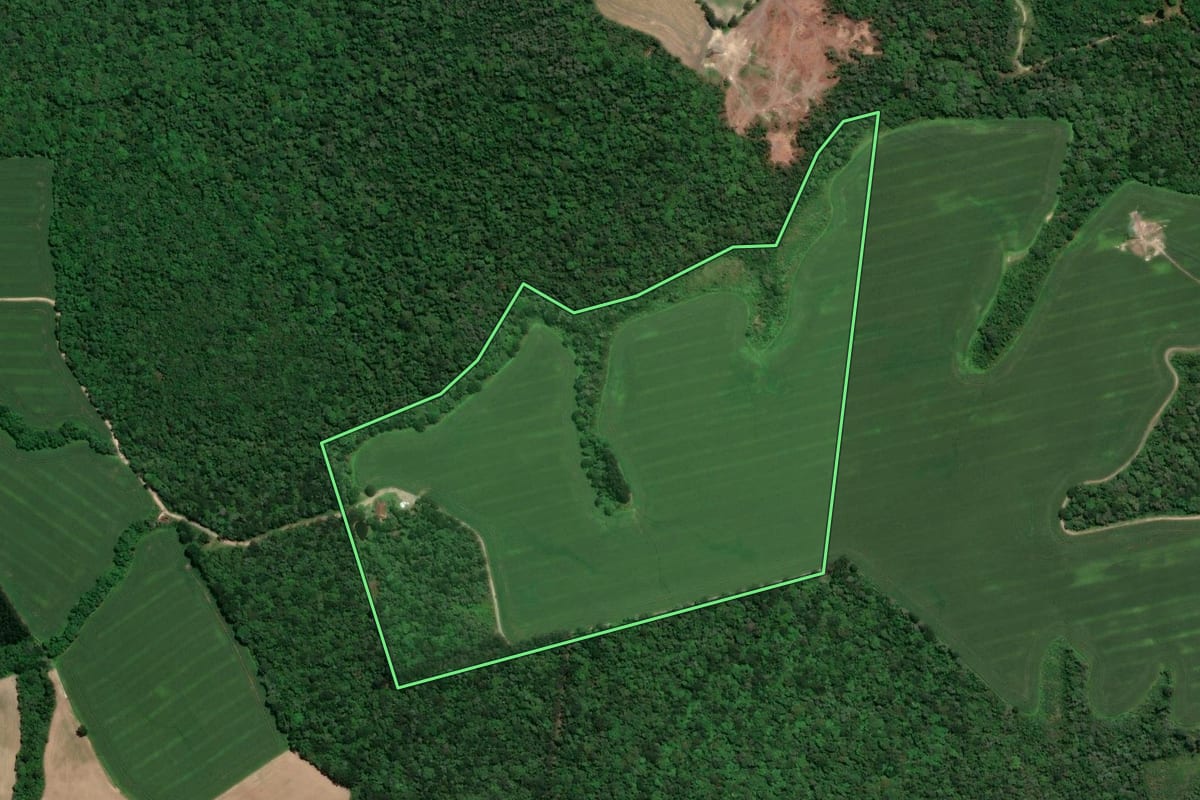 Imagem de satélite do imóvel rural em Mafra (SC), com o contorno declarado no CAR desenhado por cima.