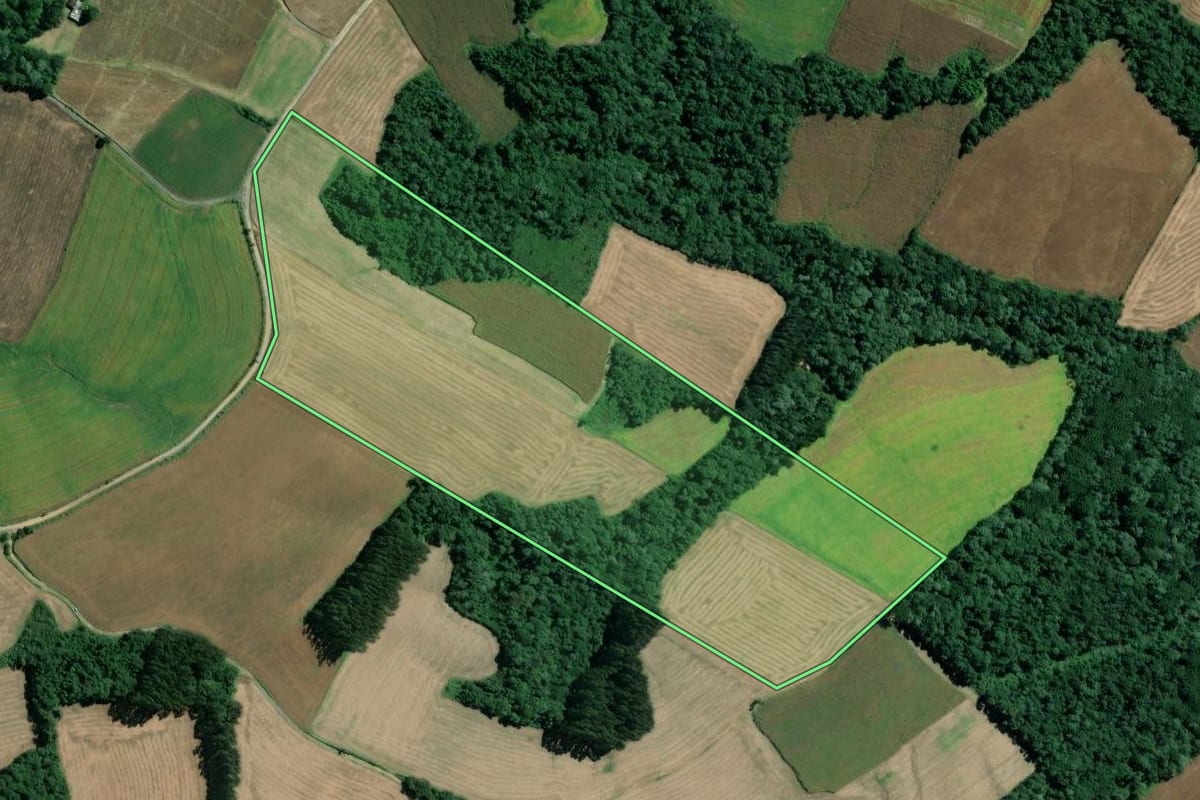 Imagem de satélite do imóvel rural em Mafra (SC), com o contorno declarado no CAR desenhado por cima.