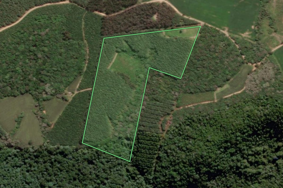 Imagem de satélite do imóvel rural em Mafra (SC), com o contorno declarado no CAR desenhado por cima.