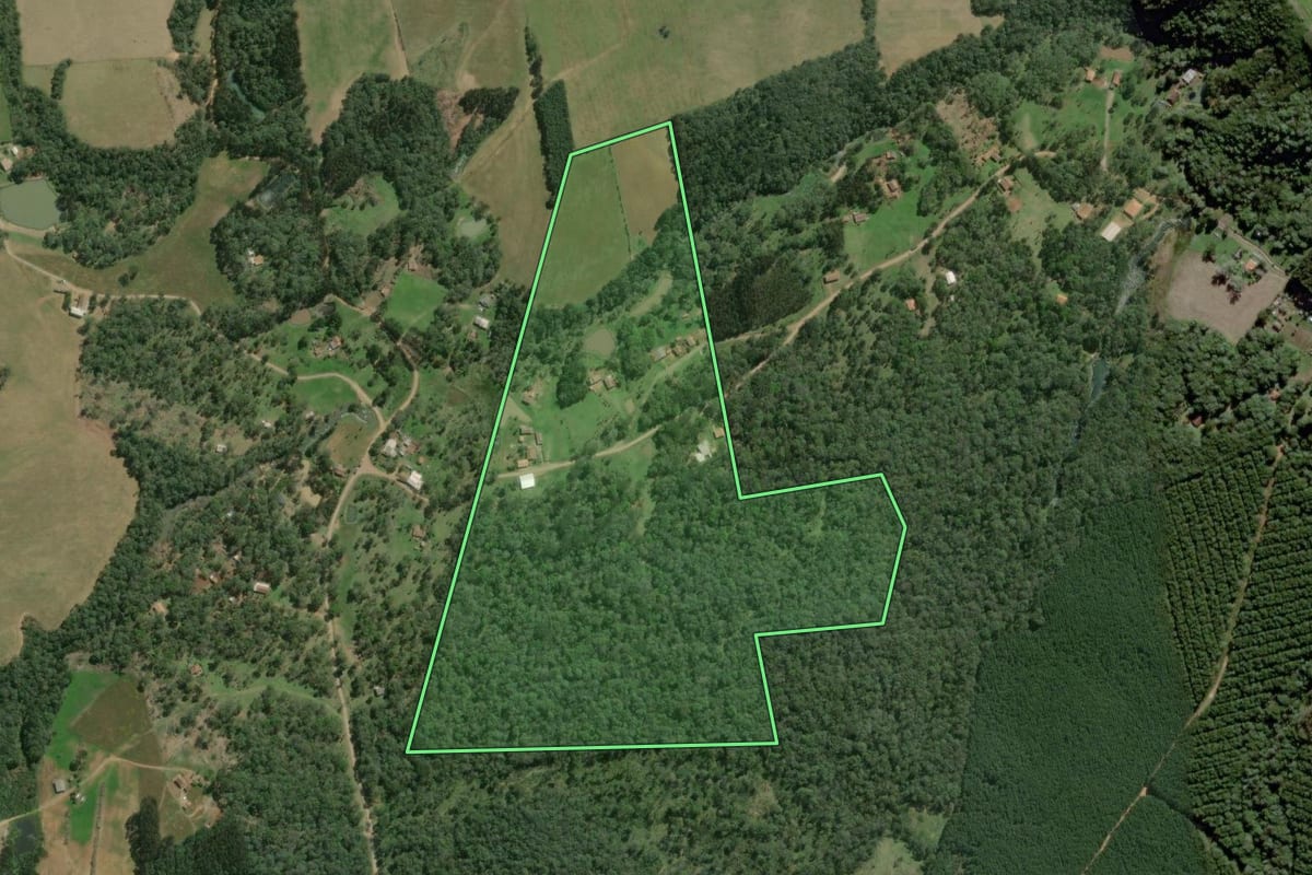 Imagem de satélite do imóvel rural em Mafra (SC), com o contorno declarado no CAR desenhado por cima.