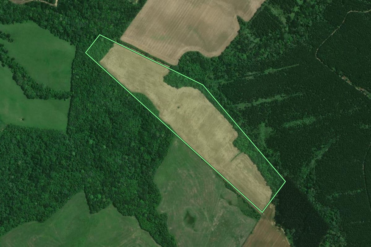 Imagem de satélite do imóvel rural em Mafra (SC), com o contorno declarado no CAR desenhado por cima.