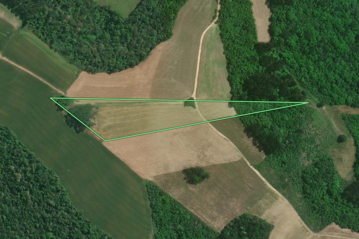 Imagem de satélite do imóvel rural em Mafra (SC), com o contorno declarado no CAR desenhado por cima.