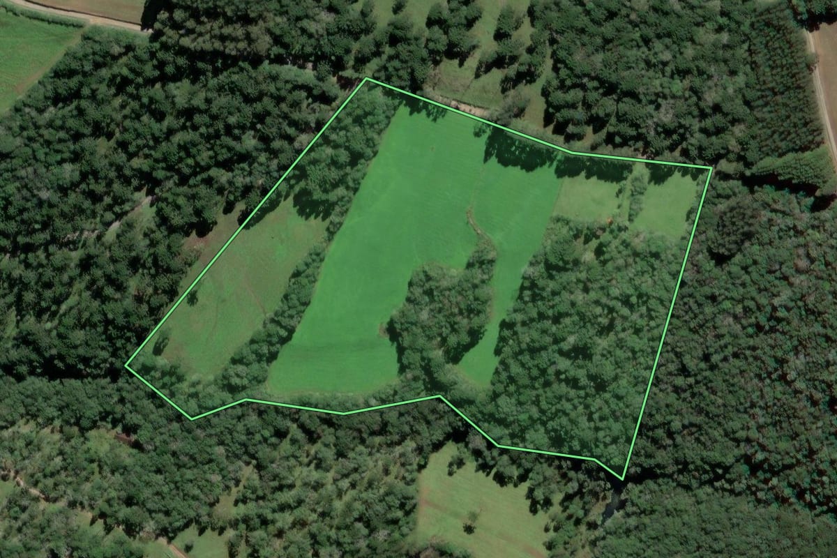 Imagem de satélite do imóvel rural em Mafra (SC), com o contorno declarado no CAR desenhado por cima.
