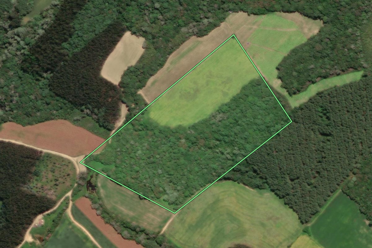 Imagem de satélite do imóvel rural em Mafra (SC), com o contorno declarado no CAR desenhado por cima.