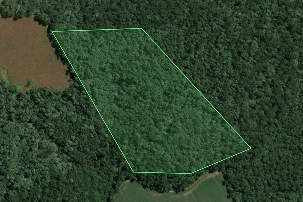 Imagem de satélite do imóvel rural em Mafra (SC), com o contorno declarado no CAR desenhado por cima.