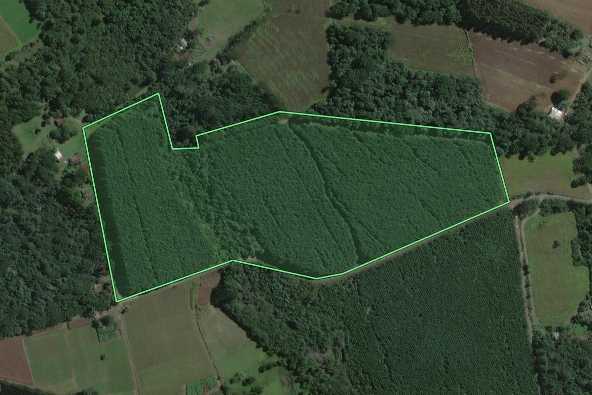 Imagem de satélite do imóvel rural em Mafra (SC), com o contorno declarado no CAR desenhado por cima.
