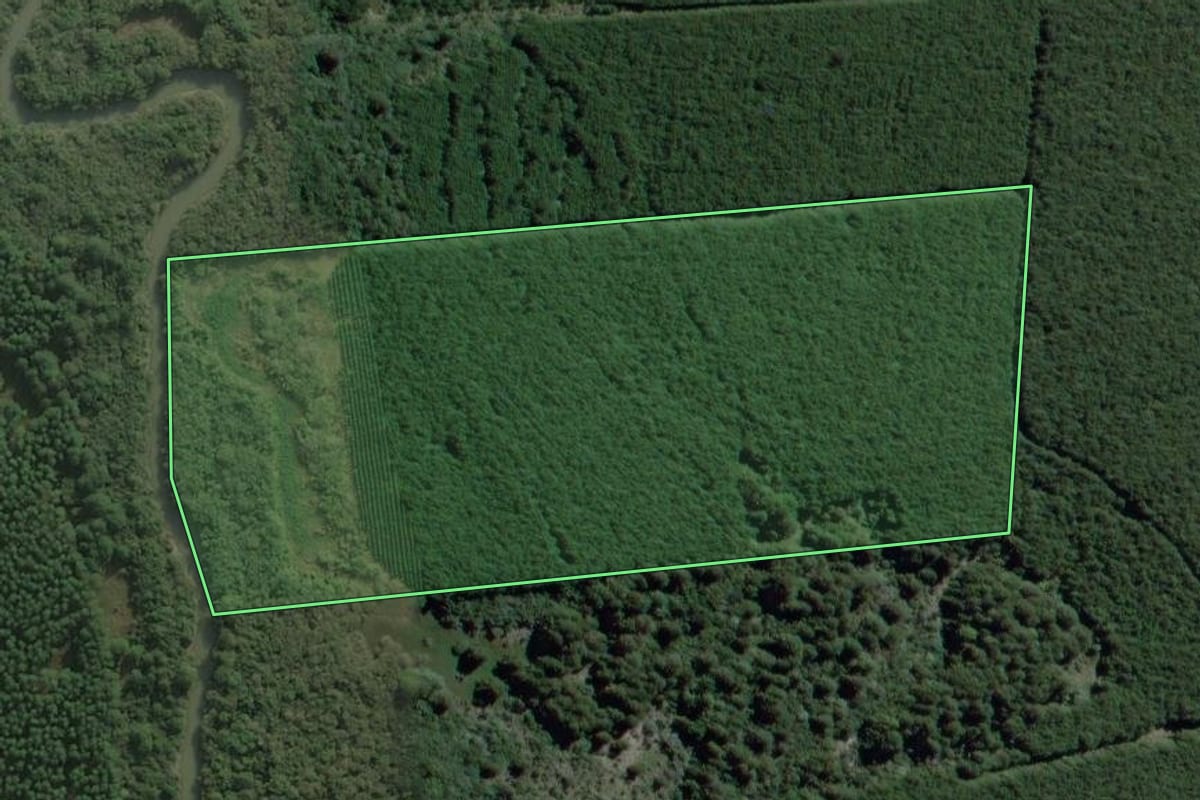 Imagem de satélite do imóvel rural em Mafra (SC), com o contorno declarado no CAR desenhado por cima.