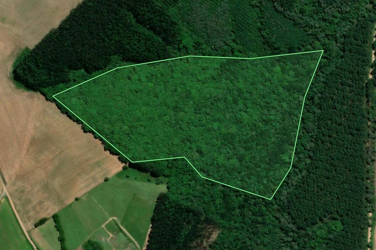 Imagem de satélite do imóvel rural em Mafra (SC), com o contorno declarado no CAR desenhado por cima.