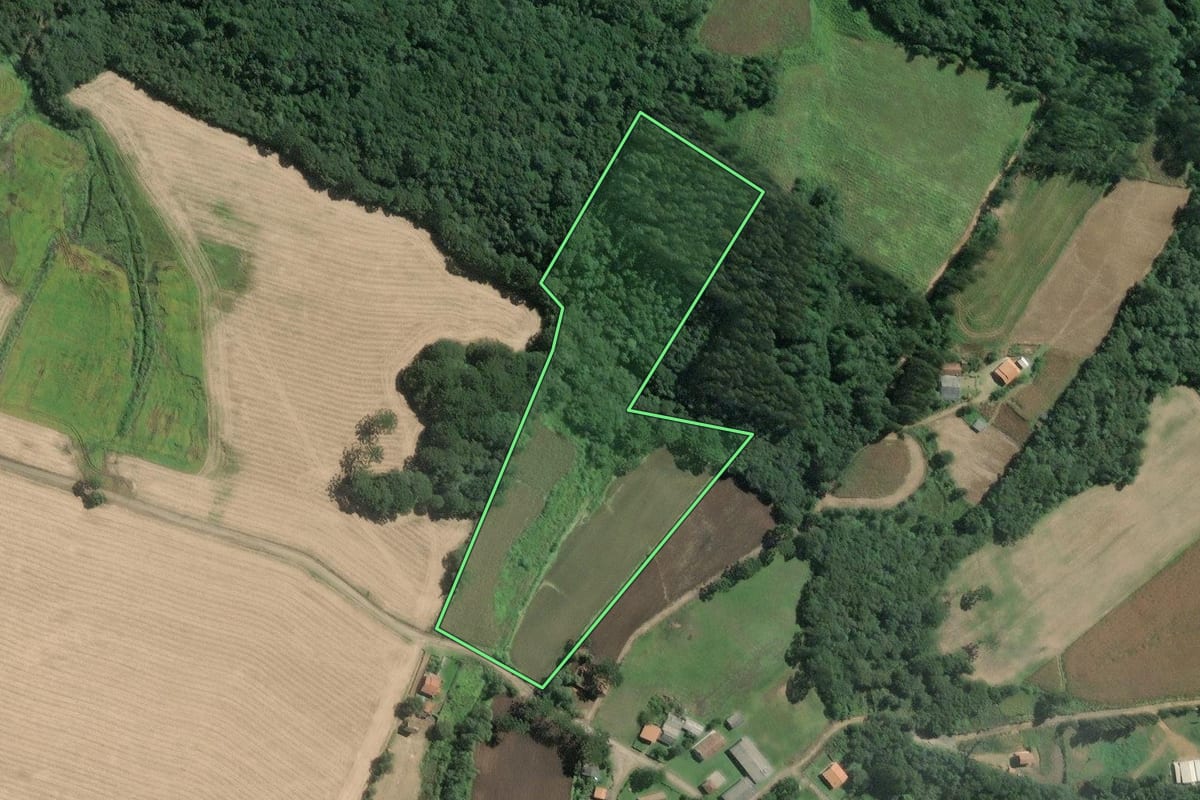 Imagem de satélite do imóvel rural em Mafra (SC), com o contorno declarado no CAR desenhado por cima.