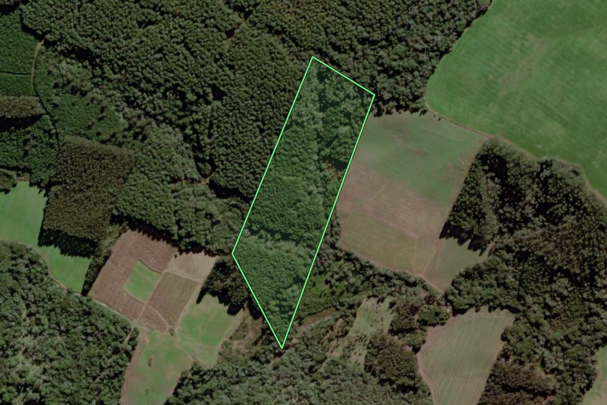 Imagem de satélite do imóvel rural em Mafra (SC), com o contorno declarado no CAR desenhado por cima.