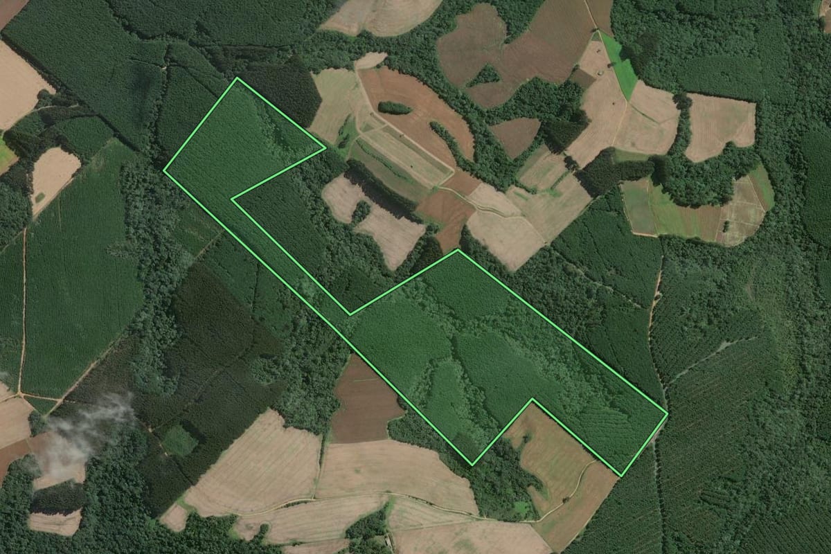 Imagem de satélite do imóvel rural em Mafra (SC), com o contorno declarado no CAR desenhado por cima.