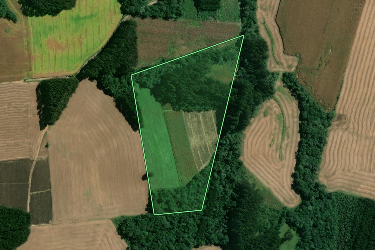 Imagem de satélite do imóvel rural em Mafra (SC), com o contorno declarado no CAR desenhado por cima.