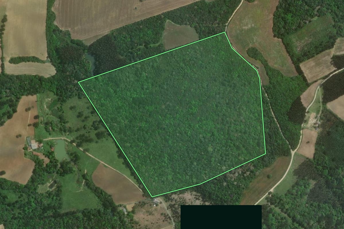 Imagem de satélite do imóvel rural em Mafra (SC), com o contorno declarado no CAR desenhado por cima.