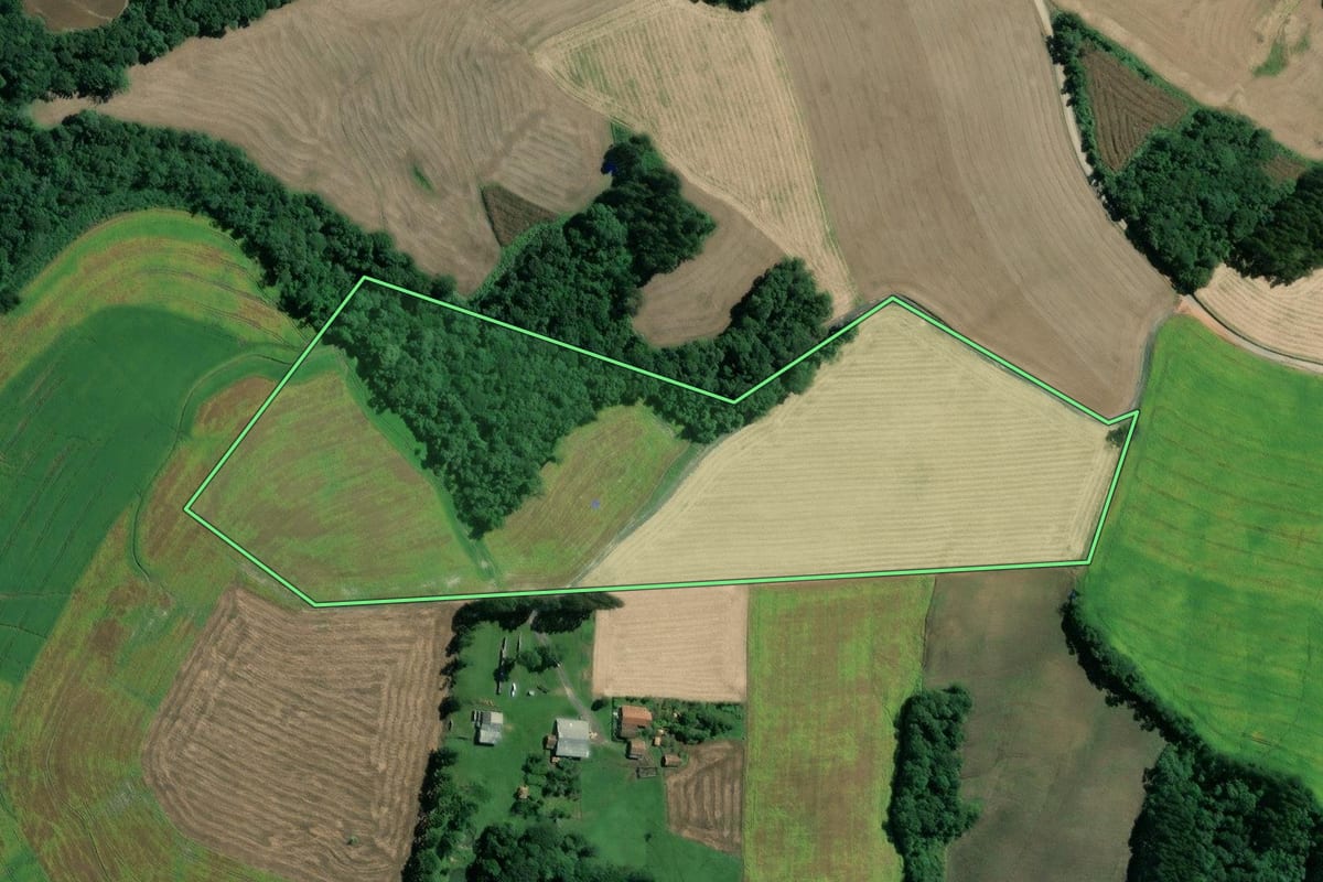Imagem de satélite do imóvel rural em Mafra (SC), com o contorno declarado no CAR desenhado por cima.
