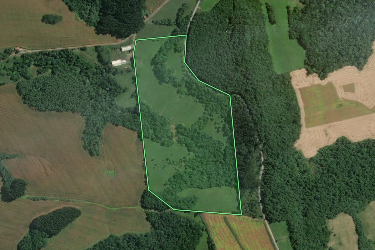 Imagem de satélite do imóvel rural em Mafra (SC), com o contorno declarado no CAR desenhado por cima.