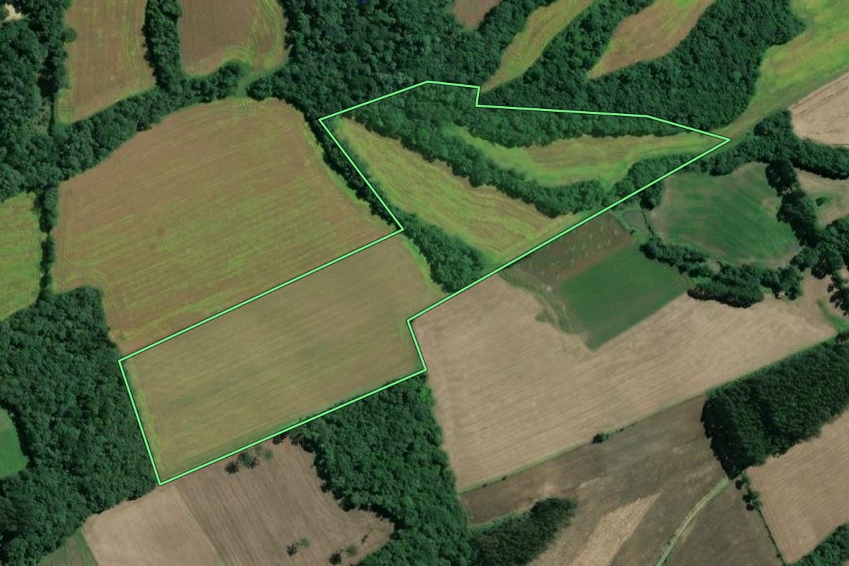 Imagem de satélite do imóvel rural em Mafra (SC), com o contorno declarado no CAR desenhado por cima.