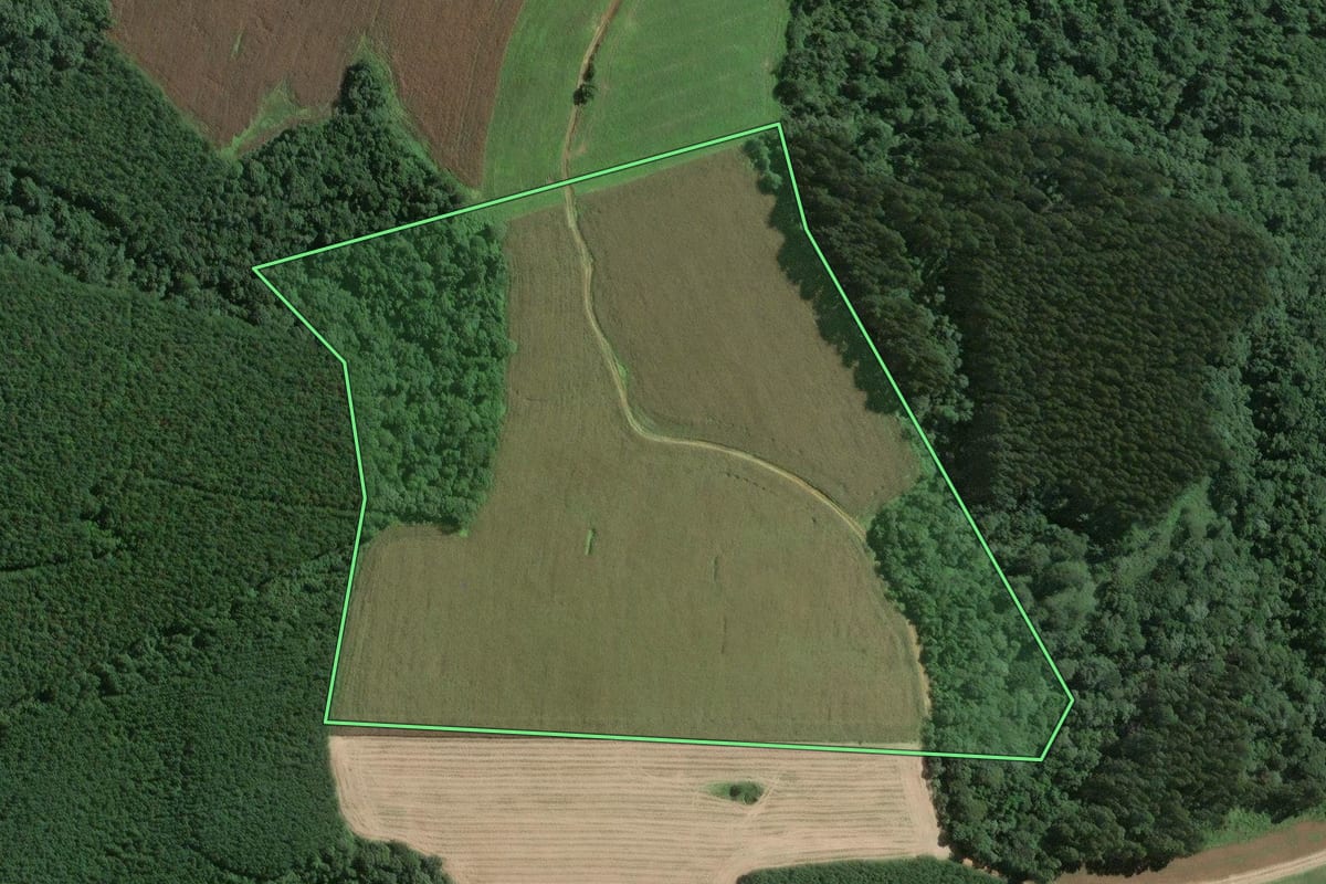 Imagem de satélite do imóvel rural em Mafra (SC), com o contorno declarado no CAR desenhado por cima.
