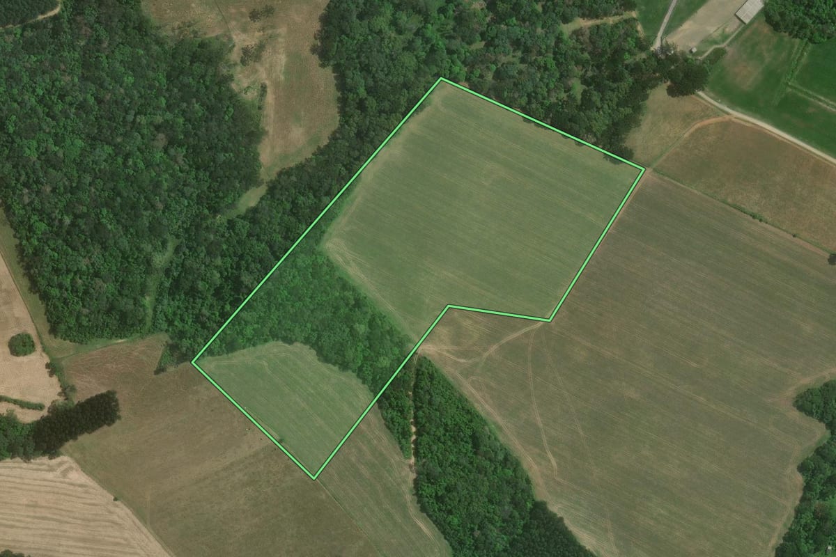Imagem de satélite do imóvel rural em Mafra (SC), com o contorno declarado no CAR desenhado por cima.