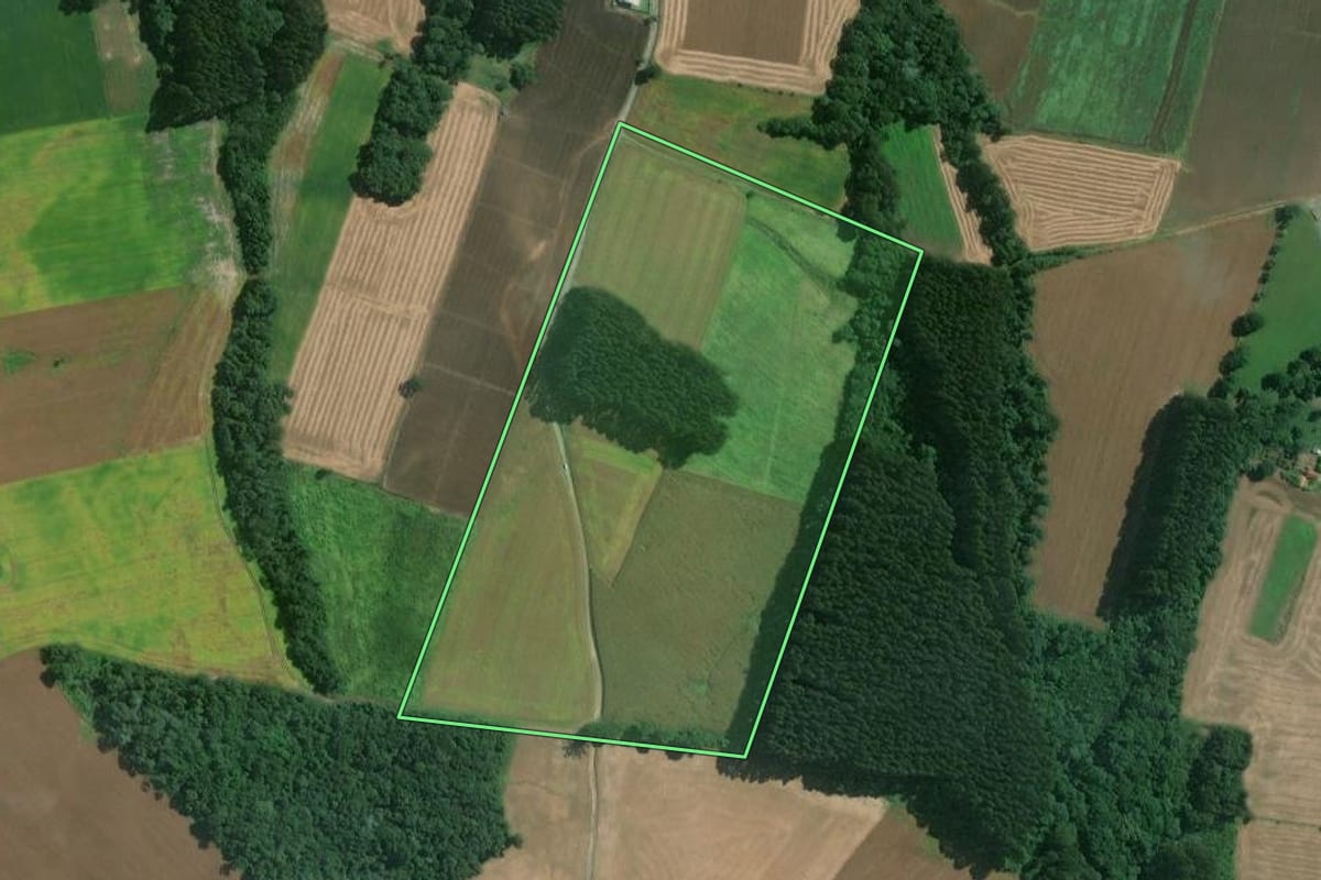 Imagem de satélite do imóvel rural em Mafra (SC), com o contorno declarado no CAR desenhado por cima.