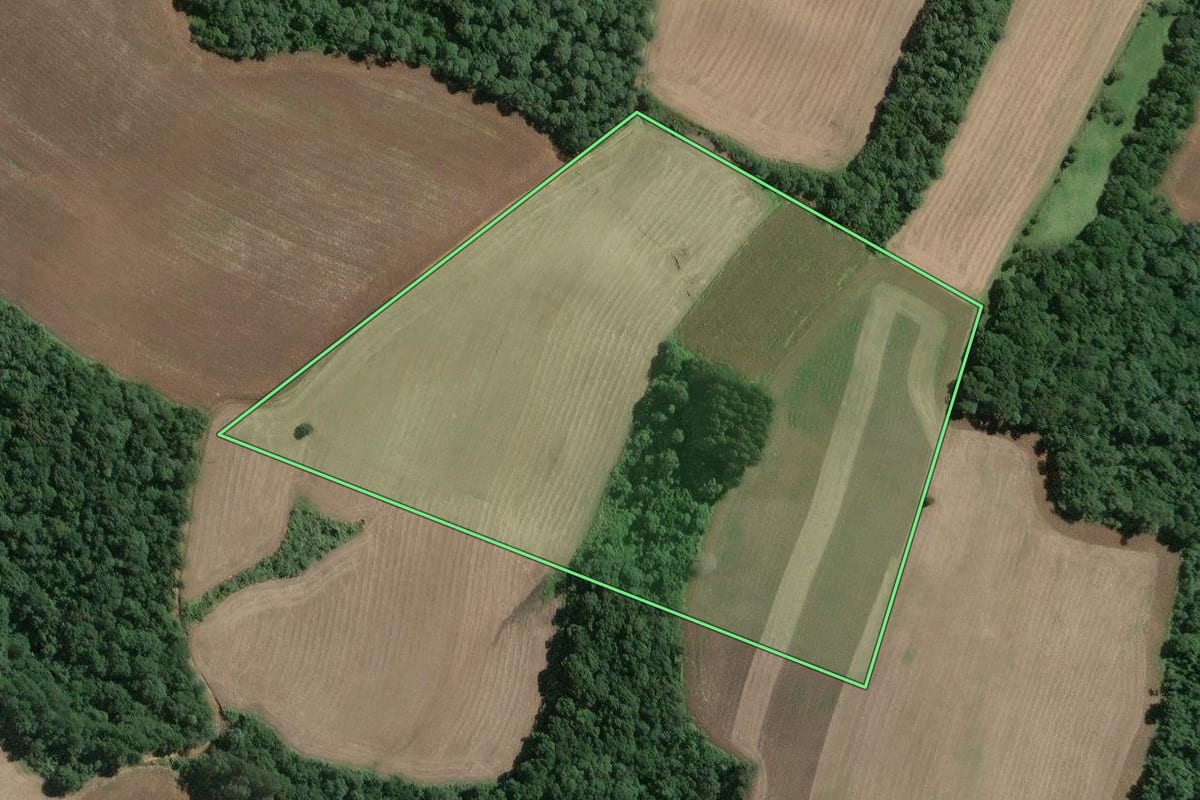 Imagem de satélite do imóvel rural em Mafra (SC), com o contorno declarado no CAR desenhado por cima.