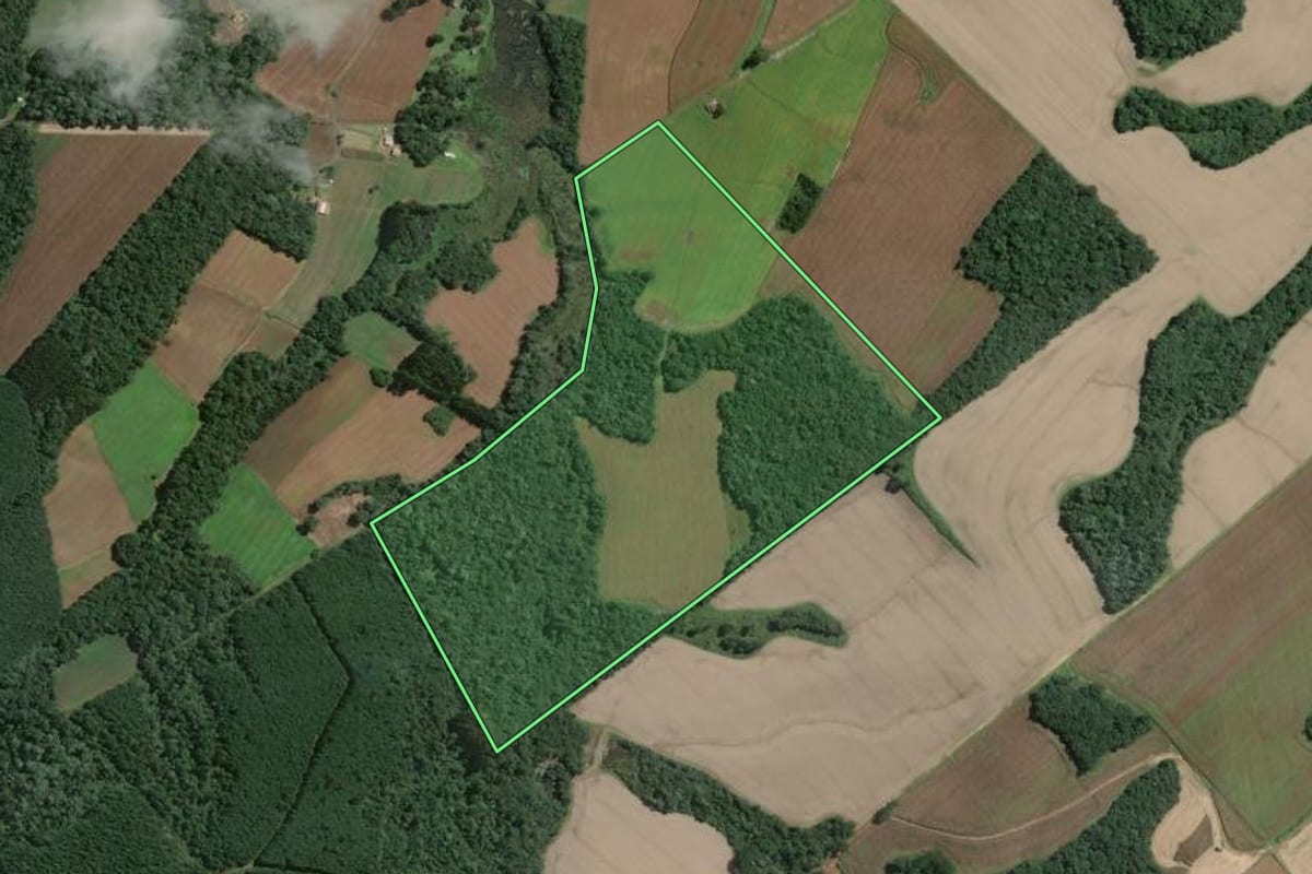 Imagem de satélite do imóvel rural em Mafra (SC), com o contorno declarado no CAR desenhado por cima.