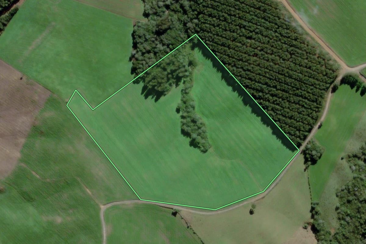 Imagem de satélite do imóvel rural em Mafra (SC), com o contorno declarado no CAR desenhado por cima.