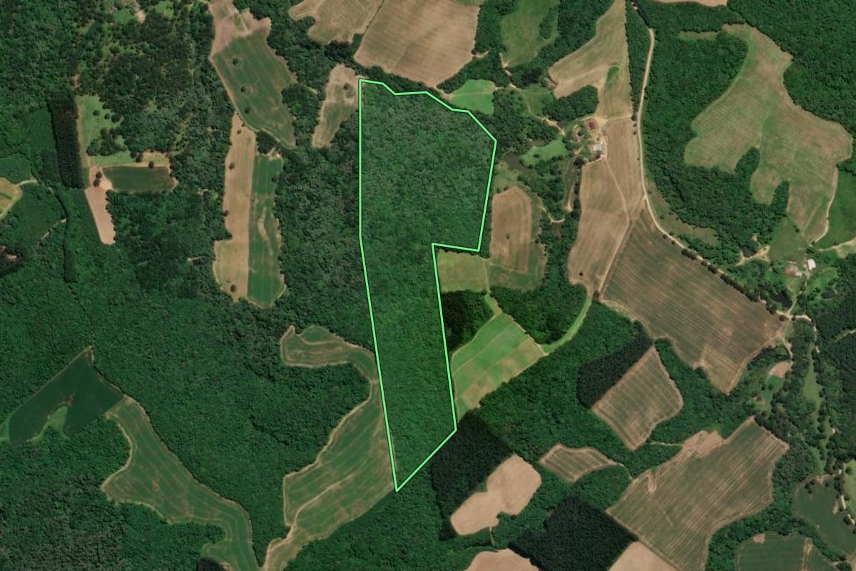 Imagem de satélite do imóvel rural em Mafra (SC), com o contorno declarado no CAR desenhado por cima.