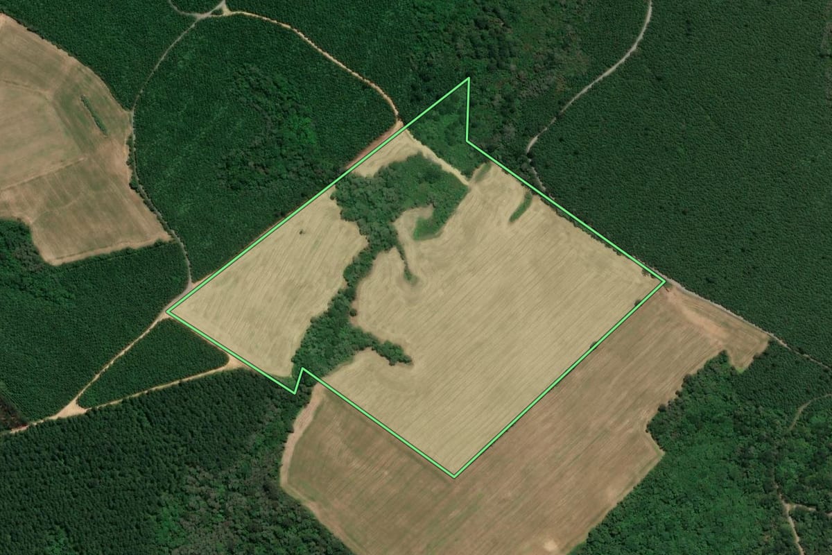 Imagem de satélite do imóvel rural em Mafra (SC), com o contorno declarado no CAR desenhado por cima.